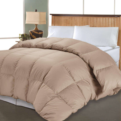 1000TC Solid Down Alternative ComforterTwin in Sage color