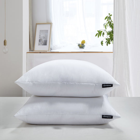 Beautyrest Softy-Around Feather and Down Euro Pillow (2Pk)
