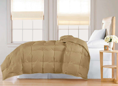 240TC Feather&Down ComforterTwin in Gold color