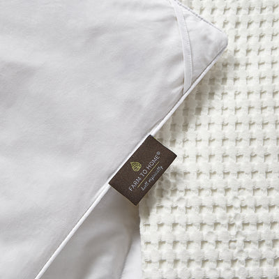 Farm To Home Organic Cotton White Down and Feather Comforter - Medium Warmth