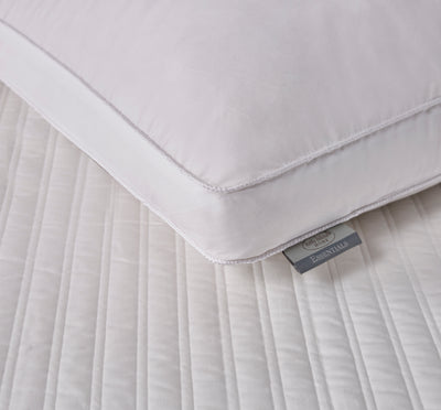 Kathy Ireland 330 Thread Count Side Sleeper White Goose Feather and Down Fiber Pillow 2Pk