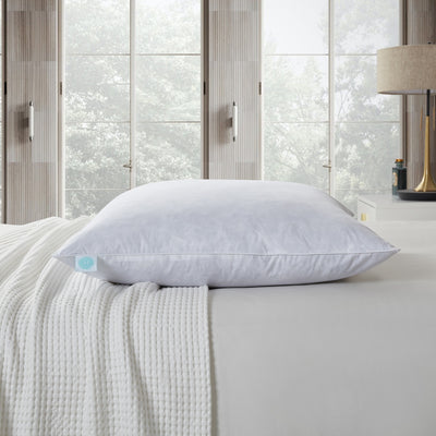 Martha Stewart 233Tc Cotton Euro-Square Feather Pillow (2Pk) - Firm