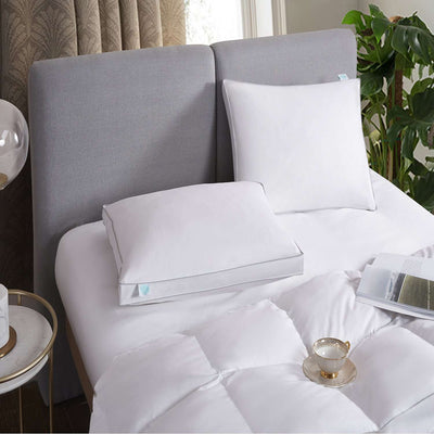 Martha Stewart 240 Thread Count White Feather and Down Pillow- 2 Pack